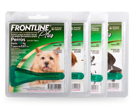 Frontline Plus perros gama